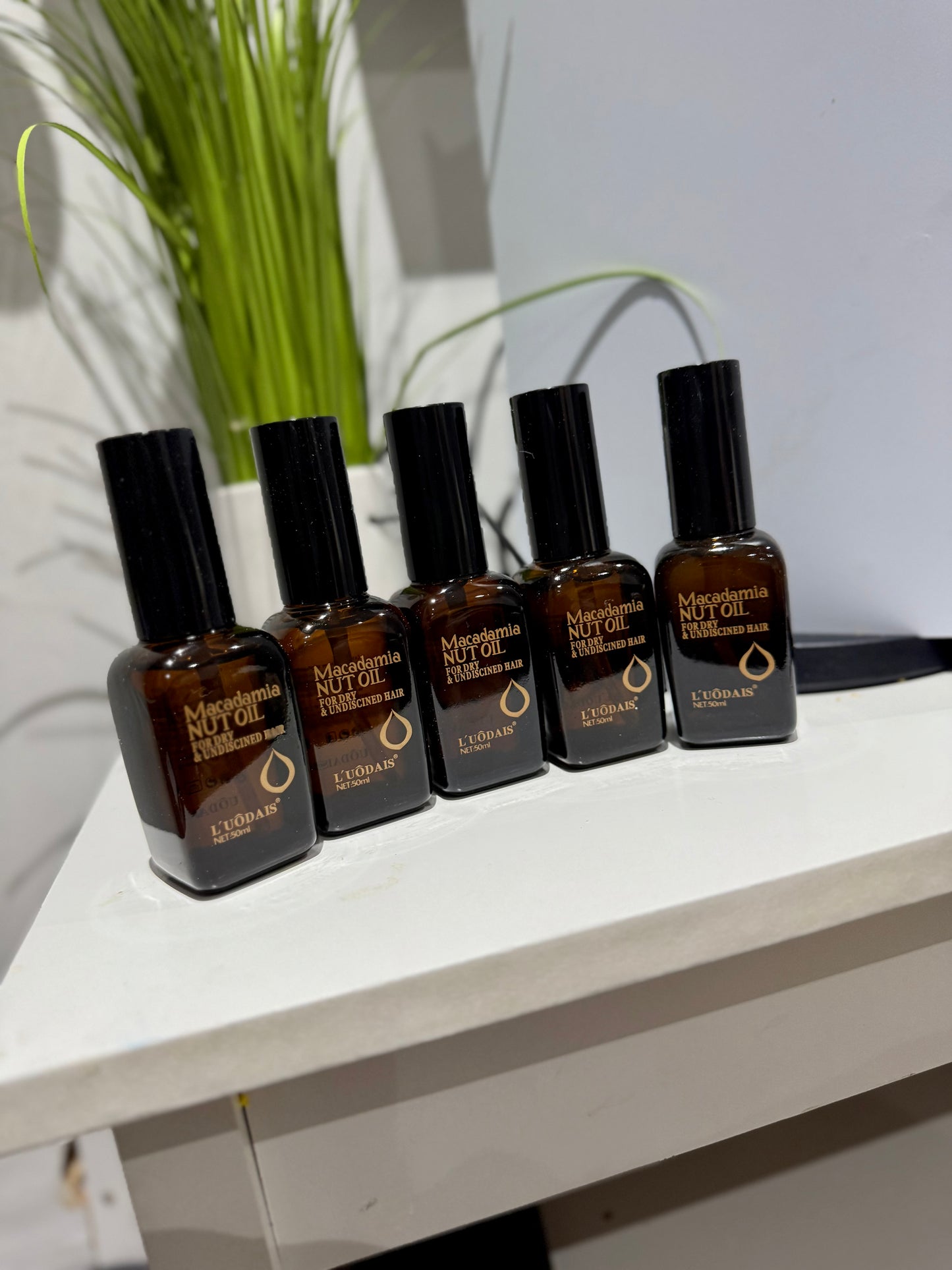MACADAMIA NUT OIL 6 pieces