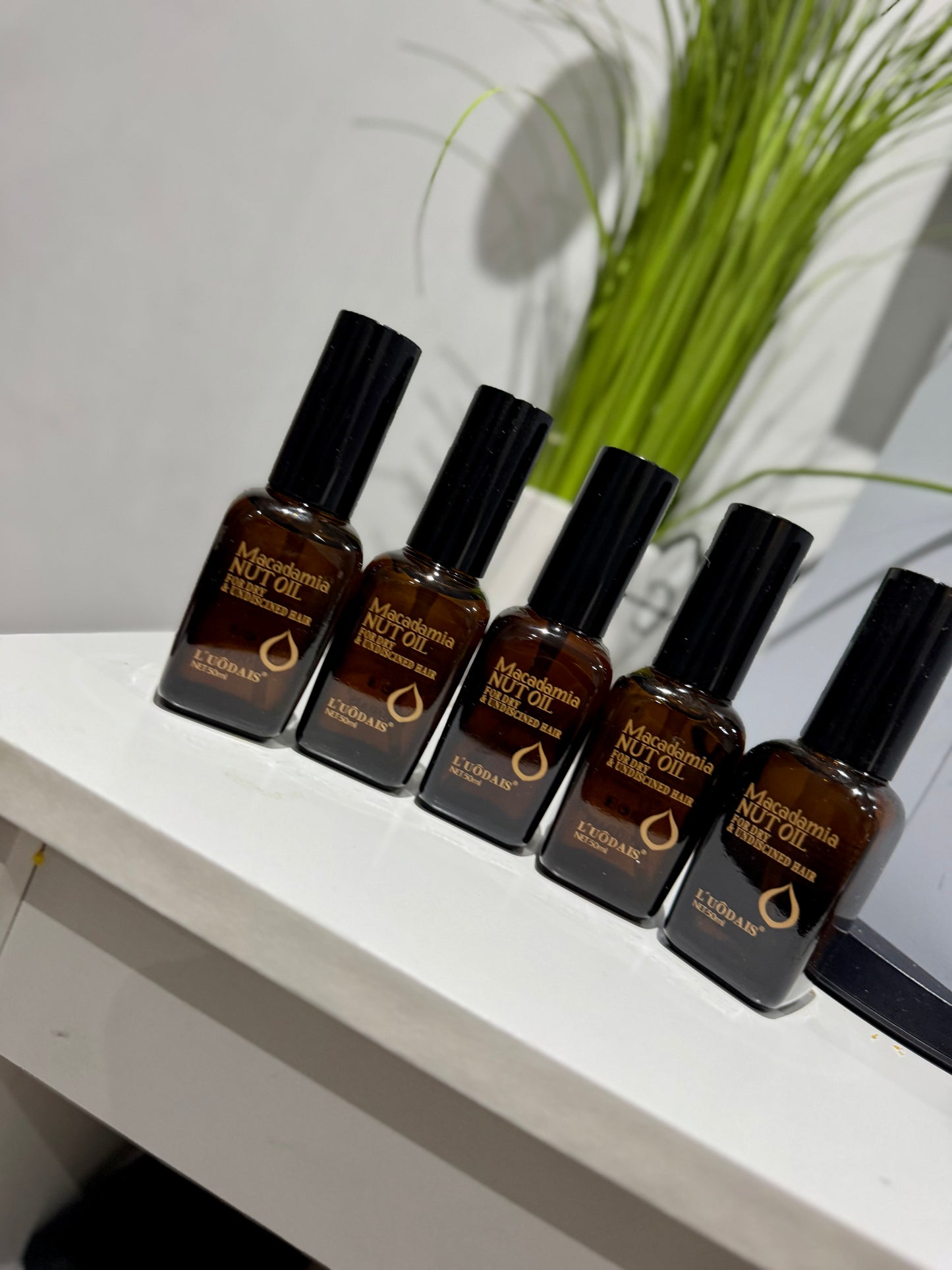 MACADAMIA NUT OIL 6 pieces