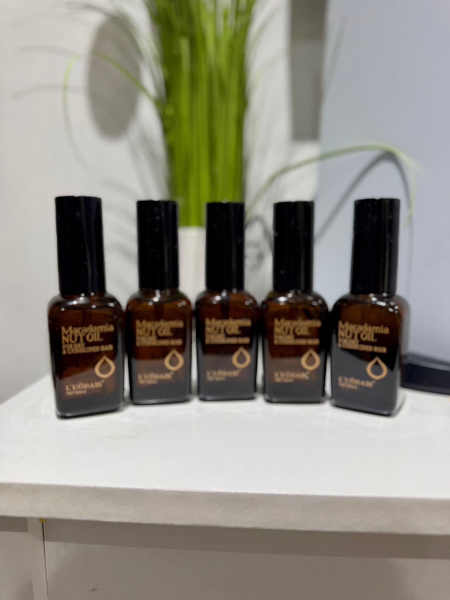 MACADAMIA NUT OIL 6 pieces
