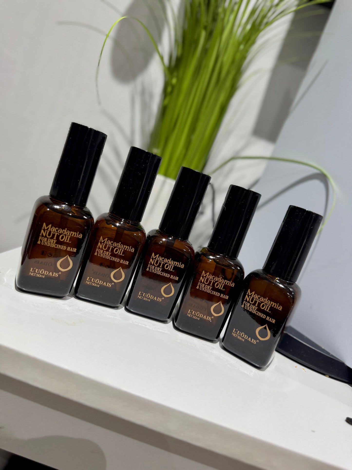 MACADAMIA NUT OIL 6 pieces
